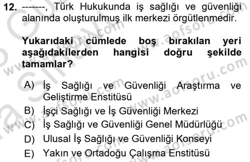 İş Sağlığı ve Güvenliğinin Temelleri Dersi 2022 - 2023 Yılı (Vize) Ara Sınav Soruları 12. Soru