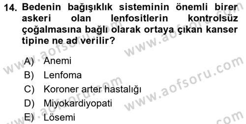 İş Sağlığı ve Güvenliğinin Temelleri Dersi 2022 - 2023 Yılı (Vize) Ara Sınav Soruları 14. Soru