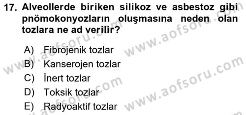 İş Sağlığı ve Güvenliğinin Temelleri Dersi 2022 - 2023 Yılı (Vize) Ara Sınav Soruları 17. Soru