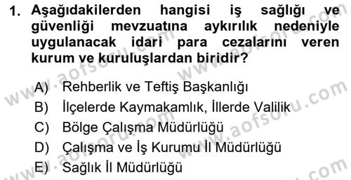 İş Sağlığı ve Güvenliğinin Temelleri Dersi 2022 - 2023 Yılı Yaz Okulu Sınavı 1. Soru