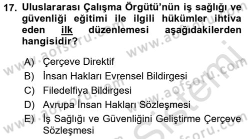 İş Sağlığı ve Güvenliğinin Temelleri Dersi 2022 - 2023 Yılı Yaz Okulu Sınav Soruları 17. Soru