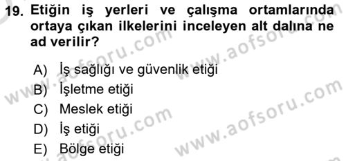 İş Sağlığı ve Güvenliğinin Temelleri Dersi 2022 - 2023 Yılı Yaz Okulu Sınav Soruları 19. Soru