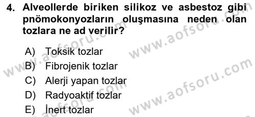İş Sağlığı ve Güvenliğinin Temelleri Dersi 2022 - 2023 Yılı Yaz Okulu Sınav Soruları 4. Soru