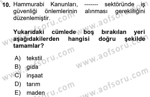 İş Sağlığı ve Güvenliğinin Temelleri Dersi 2023 - 2024 Yılı (Vize) Ara Sınavı 10. Soru