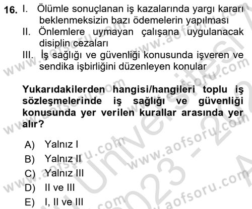 İş Sağlığı ve Güvenliğinin Temelleri Dersi 2023 - 2024 Yılı (Vize) Ara Sınav Soruları 16. Soru