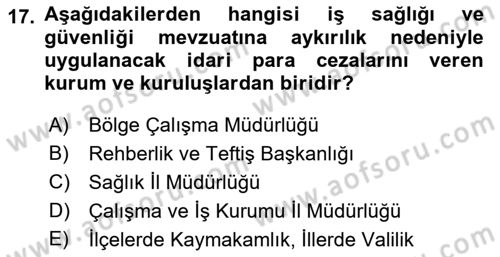 İş Sağlığı ve Güvenliğinin Temelleri Dersi 2023 - 2024 Yılı (Vize) Ara Sınav Soruları 17. Soru