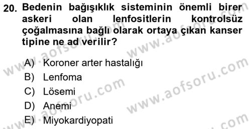 İş Sağlığı ve Güvenliğinin Temelleri Dersi 2023 - 2024 Yılı (Vize) Ara Sınav Soruları 20. Soru