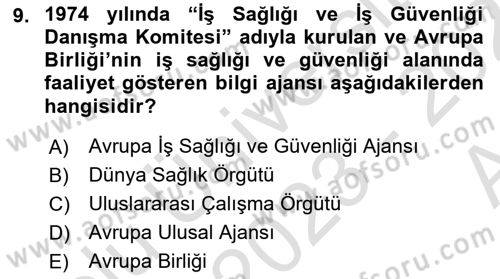 İş Sağlığı ve Güvenliğinin Temelleri Dersi 2023 - 2024 Yılı (Vize) Ara Sınav Soruları 9. Soru