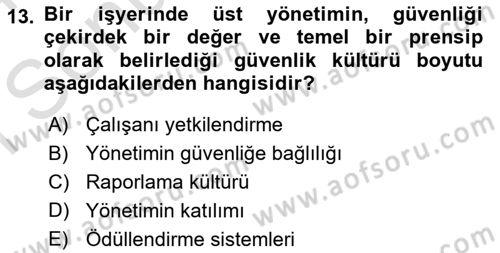İş Sağlığı ve Güvenliğinin Temelleri Dersi 2023 - 2024 Yılı (Final) Dönem Sonu Sınav Soruları 13. Soru
