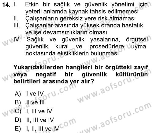 İş Sağlığı ve Güvenliğinin Temelleri Dersi 2023 - 2024 Yılı Yaz Okulu Sınav Soruları 14. Soru
