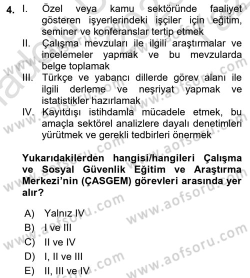 İş Sağlığı ve Güvenliğinin Temelleri Dersi 2023 - 2024 Yılı Yaz Okulu Sınav Soruları 4. Soru