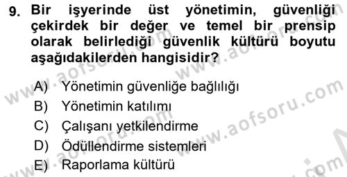 İş Sağlığı ve Güvenliğinin Temelleri Dersi 2023 - 2024 Yılı Yaz Okulu Sınav Soruları 9. Soru