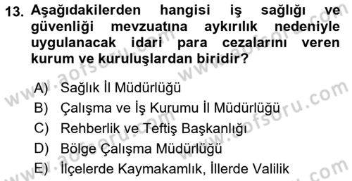 İş Sağlığı ve Güvenliğinin Temelleri Dersi 2024 - 2025 Yılı (Vize) Ara Sınav Soruları 13. Soru