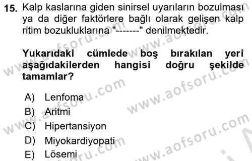 İş Sağlığı ve Güvenliğinin Temelleri Dersi 2024 - 2025 Yılı (Vize) Ara Sınav Soruları 15. Soru
