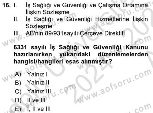 İş Sağlığı ve Güvenliğinin Temelleri Dersi 2024 - 2025 Yılı (Vize) Ara Sınav Soruları 16. Soru