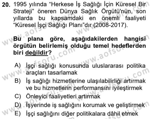 İş Sağlığı ve Güvenliğinin Temelleri Dersi 2024 - 2025 Yılı (Vize) Ara Sınav Soruları 20. Soru