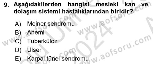 İş Sağlığı ve Güvenliğinin Temelleri Dersi 2024 - 2025 Yılı (Vize) Ara Sınav Soruları 9. Soru