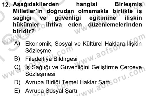 İş Sağlığı ve Güvenliğinin Temelleri Dersi 2024 - 2025 Yılı (Final) Dönem Sonu Sınav Soruları 12. Soru