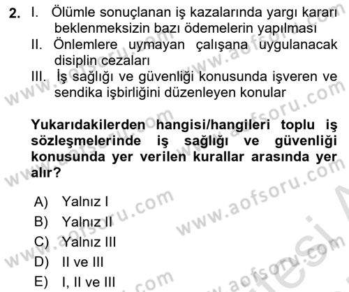 İş Sağlığı ve Güvenliğinin Temelleri Dersi 2024 - 2025 Yılı (Final) Dönem Sonu Sınav Soruları 2. Soru