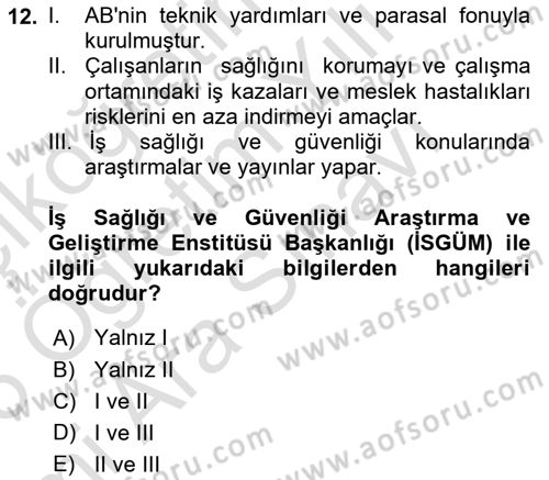 İş Sağlığı ve Güvenliğinin Temelleri Dersi 2025 - 2026 Yılı (Vize) Ara Sınav Soruları 12. Soru