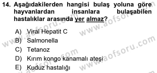 İş Sağlığı ve Güvenliğinin Temelleri Dersi 2025 - 2026 Yılı (Vize) Ara Sınav Soruları 14. Soru