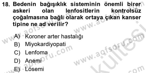 İş Sağlığı ve Güvenliğinin Temelleri Dersi 2025 - 2026 Yılı (Vize) Ara Sınav Soruları 18. Soru