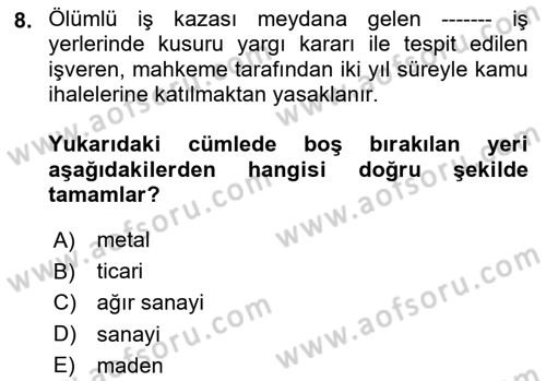 İş Sağlığı ve Güvenliğinin Temelleri Dersi 2025 - 2026 Yılı (Vize) Ara Sınav Soruları 8. Soru