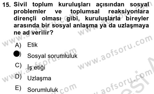Yönetim Sistemleri ve Risk Yönetimi Dersi 2020 - 2021 Yılı Yaz Okulu Sınav Soruları 15. Soru