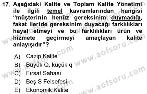 Yönetim Sistemleri ve Risk Yönetimi Dersi 2021 - 2022 Yılı (Vize) Ara Sınavı 17. Soru