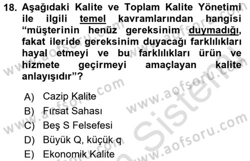 Yönetim Sistemleri ve Risk Yönetimi Dersi 2022 - 2023 Yılı (Vize) Ara Sınavı 18. Soru