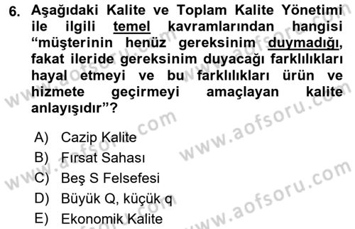 Yönetim Sistemleri ve Risk Yönetimi Dersi 2022 - 2023 Yılı (Final) Dönem Sonu Sınav Soruları 6. Soru