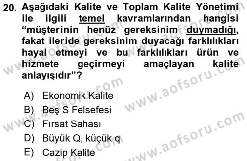 Yönetim Sistemleri ve Risk Yönetimi Dersi 2023 - 2024 Yılı (Vize) Ara Sınav Soruları 20. Soru