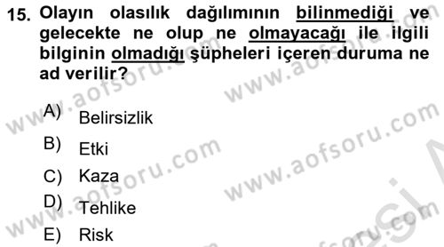 Yönetim Sistemleri ve Risk Yönetimi Dersi 2023 - 2024 Yılı Yaz Okulu Sınav Soruları 15. Soru