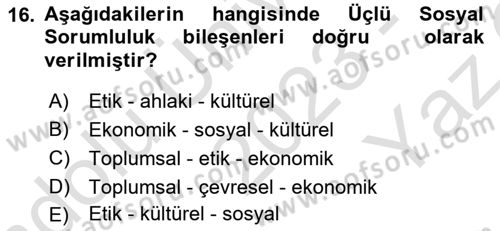 Yönetim Sistemleri ve Risk Yönetimi Dersi 2023 - 2024 Yılı Yaz Okulu Sınav Soruları 16. Soru