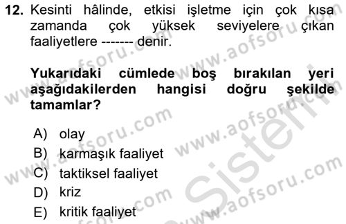 Yönetim Sistemleri ve Risk Yönetimi Dersi 2024 - 2025 Yılı (Vize) Ara Sınav Soruları 12. Soru