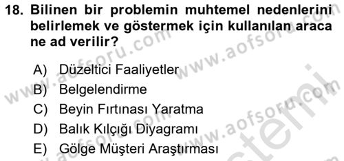 Yönetim Sistemleri ve Risk Yönetimi Dersi 2024 - 2025 Yılı (Vize) Ara Sınav Soruları 18. Soru