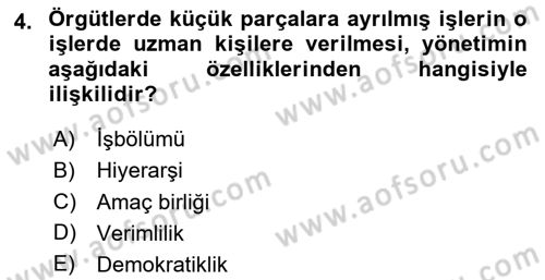 Yönetim Sistemleri ve Risk Yönetimi Dersi 2024 - 2025 Yılı (Vize) Ara Sınav Soruları 4. Soru