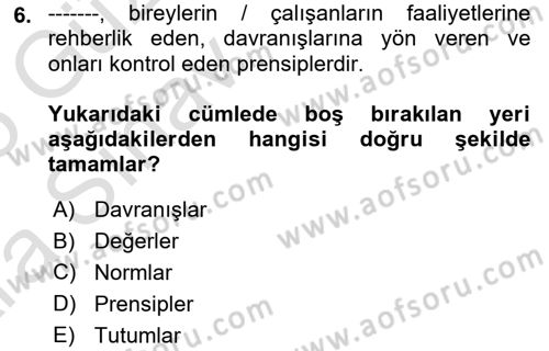 Yönetim Sistemleri ve Risk Yönetimi Dersi Ara Sınavı Deneme Sınav Soruları 6. Soru