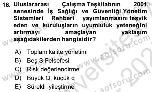 Yönetim Sistemleri ve Risk Yönetimi Dersi 2024 - 2025 Yılı (Final) Dönem Sonu Sınav Soruları 16. Soru