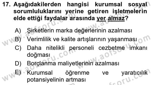 Yönetim Sistemleri ve Risk Yönetimi Dersi 2024 - 2025 Yılı (Final) Dönem Sonu Sınav Soruları 17. Soru