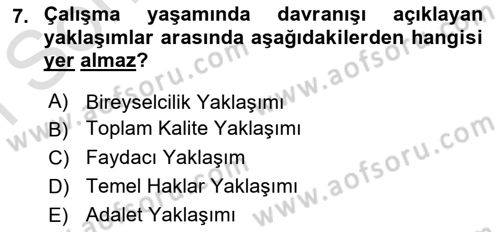 Yönetim Sistemleri ve Risk Yönetimi Dersi 2024 - 2025 Yılı (Final) Dönem Sonu Sınav Soruları 7. Soru