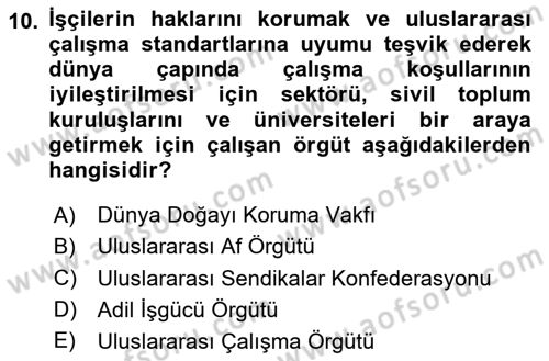 Yönetim Sistemleri ve Risk Yönetimi Dersi 2024 - 2025 Yılı Yaz Okulu Sınav Soruları 10. Soru