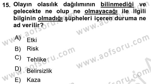 Yönetim Sistemleri ve Risk Yönetimi Dersi 2024 - 2025 Yılı Yaz Okulu Sınav Soruları 15. Soru