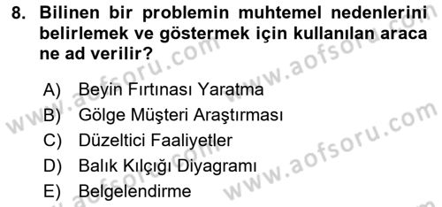 Yönetim Sistemleri ve Risk Yönetimi Dersi 2024 - 2025 Yılı Yaz Okulu Sınav Soruları 8. Soru
