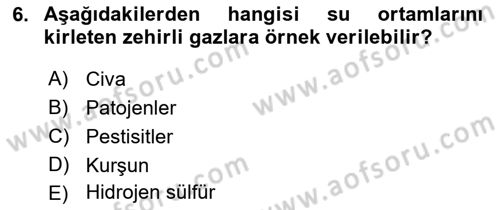 Çevre Sağlığı ve Güvenliği Dersi 2021 - 2022 Yılı Yaz Okulu Sınav Soruları 6. Soru