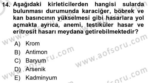 Çevre Sağlığı ve Güvenliği Dersi 2023 - 2024 Yılı Yaz Okulu Sınav Soruları 14. Soru