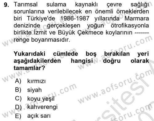 Çevre Sağlığı ve Güvenliği Dersi 2023 - 2024 Yılı Yaz Okulu Sınav Soruları 9. Soru