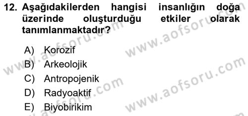 Çevre Sağlığı ve Güvenliği Dersi 2024 - 2025 Yılı (Vize) Ara Sınav Soruları 12. Soru