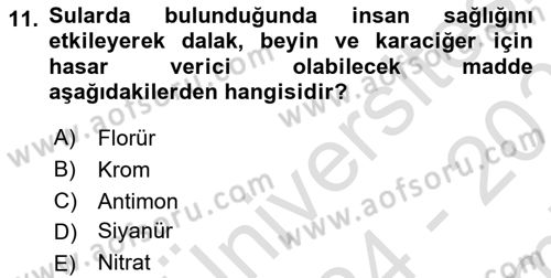 Çevre Sağlığı ve Güvenliği Dersi 2024 - 2025 Yılı (Final) Dönem Sonu Sınav Soruları 11. Soru