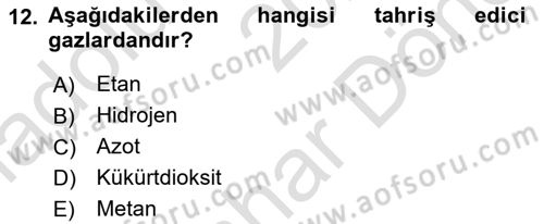 Çevre Sağlığı ve Güvenliği Dersi 2024 - 2025 Yılı (Final) Dönem Sonu Sınav Soruları 12. Soru